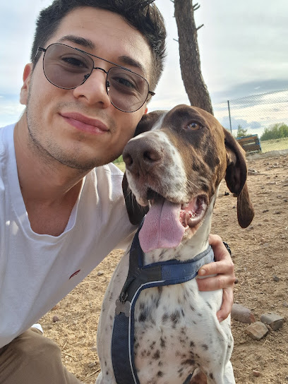 Las Fuentes | Guardería para perros en Buitrago