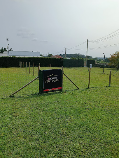 ERDS | Guardería para perros en Figaredo