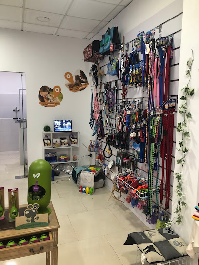 Guapets | Peluqueria para perros en Valencia