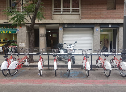 Single Track | Adiestradores de perros en Barcelona