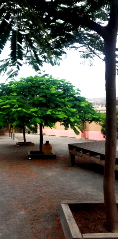 Tarazona | Guardería para perros en La Atalaya