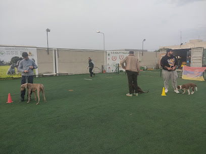 Palaciego | Adiestradores de perros en Los Palacios y Villafranca
