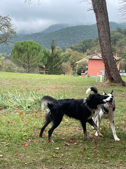 Instint Cani | Adiestradores de perros en Vilada