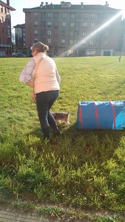Guau | Adiestradores de perros en Lugones