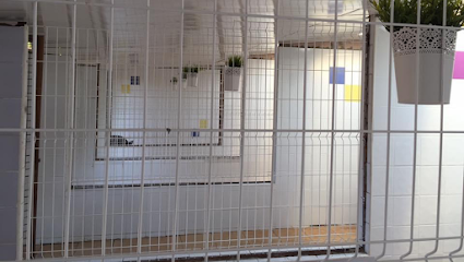 Villanueva | Guardería para perros en Burgos