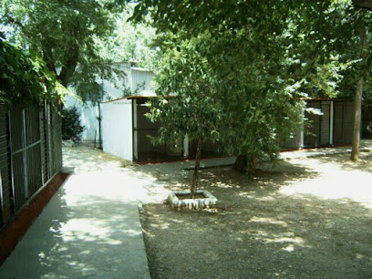 Seneca | Guardería para perros en Córdoba