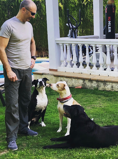 Controlcan | Adiestradores de perros en Marbella
