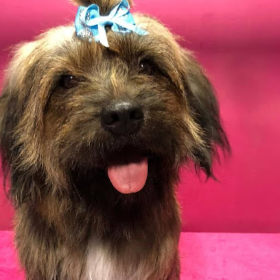 Diamond Animals | Peluqueria para perros en Llinars del Vallès