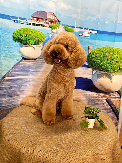 Estilcan | Peluqueria para perros en Badalona