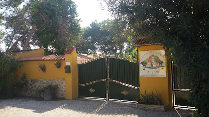 Reina | Guardería para perros en Almoradi