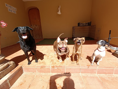 Mimilla House | Guardería para perros en Valsequillo