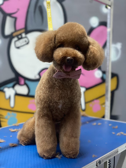 Els Amics de Keisha | Peluqueria para perros en Badalona
