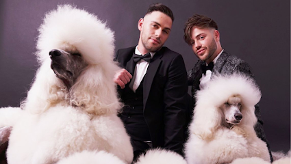 Caniches | Peluqueria para perros en Madrid