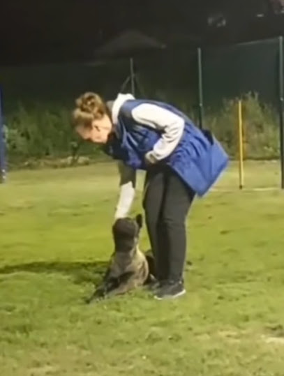 Asturcanino | Adiestradores de perros en Lugo de Llanera