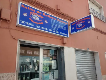 Salón de Belleza Canina | Peluqueria para perros en Badajoz