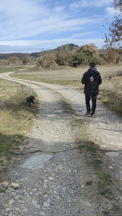 LA TALAIA | Guardería para perros en Moia
