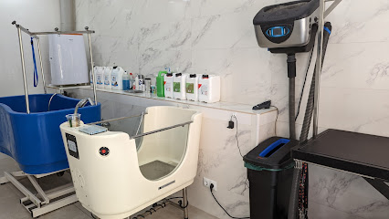 Dog Vint-I-Do | Peluqueria para perros en Granollers