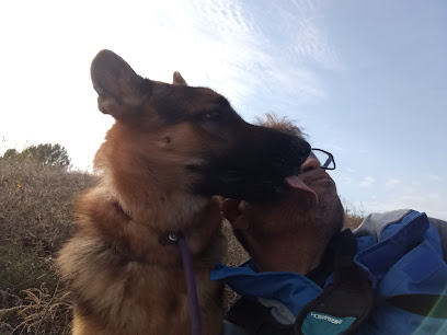 MASOS CAN | Adiestradores de perros en Mora la Nova