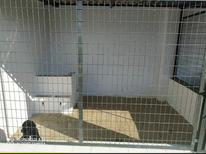 Las Cabrerizas del Sur | Guardería para perros en Villarrubia de Cordoba