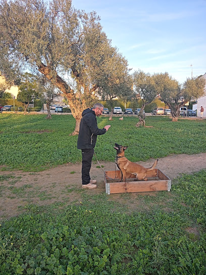 Arcan | Adiestradores de perros en Dos Hermanas
