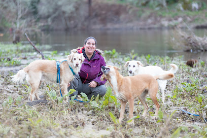 Be Kind | Adiestradores de perros en Beade