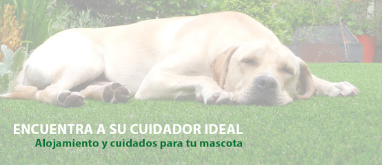 TOC TOC DOG | Guardería para perros en Córdoba