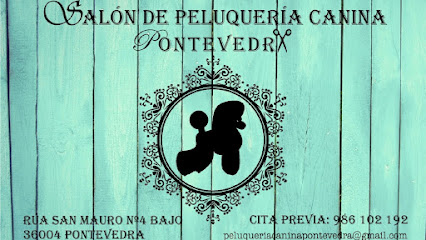 Salón Pontevedra | Peluqueria para perros en Pontevedra