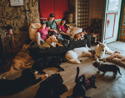 La Canina | Guardería para perros en Barcelona