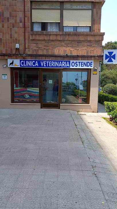 Waku | Peluqueria para perros en Castro-Urdiales