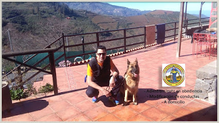 Adiestrador Canino Las Palmas | Las Palmas de Gran Canaria