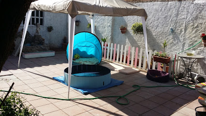 B.E.S.T. | Guardería para perros en Manresa