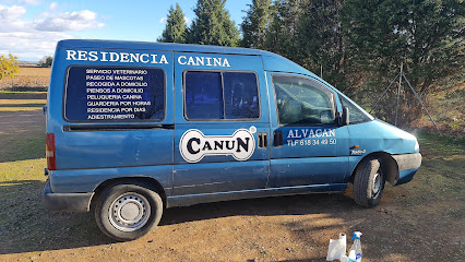 New Alvacan | Guardería para perros en Miguelturra