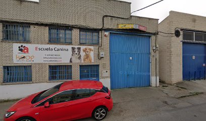 Hoop | Adiestradores de perros en Humanes de Madrid