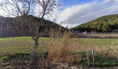 Perro Como En Casa | Guardería para perros en Zaragoza