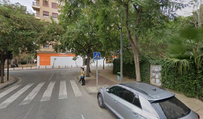 Toy | Guardería para perros en Murcia