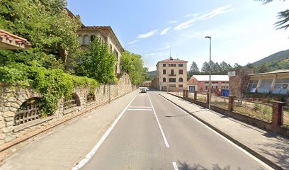 paraiso peludo | Guardería para perros en Ripoll