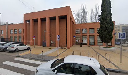 GOTI-DOG | Adiestradores de perros en Madrid