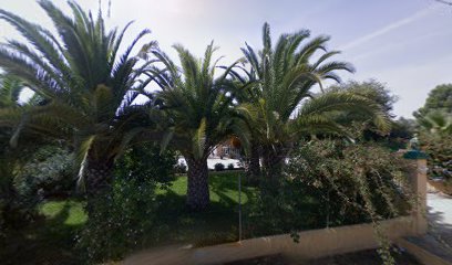 Centro Canino Alpesa | Adiestradores de perros en Carmona