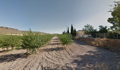 Rubys Kennels | Guardería para perros en Yecla