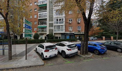 Lo Mejor | Adiestradores de perros en Madrid