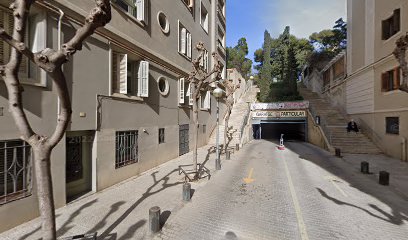 HACIENDO VÍNCULO | Adiestradores de perros en Barcelona
