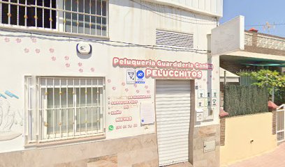 Peluchitos | Guardería para perros en Churra