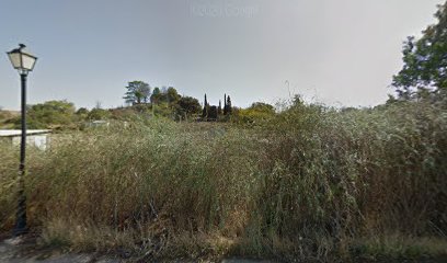 Dogmaster. | Adiestradores de perros en Valdeavero