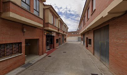 Pointerfiel | Adiestradores de perros en Penafiel