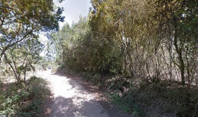 Brando Paradise | Guardería para perros en Ravelo