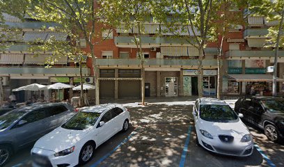 Wash & Pets | Peluqueria para perros en Viladecans