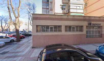 Dog Scout | Adiestradores de perros en Madrid