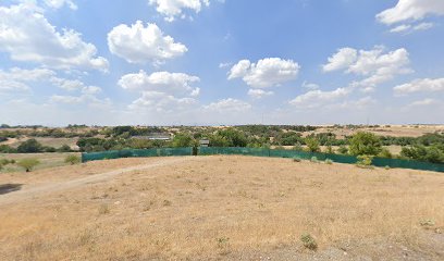 Pista Montecan | Adiestradores de perros en Madrid