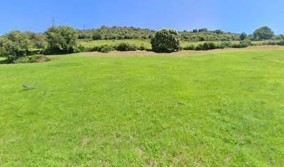 Aterpe | Guardería para perros en Bo. Covaron