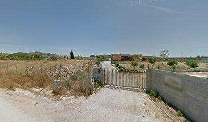 PlayDog | Adiestradores de perros en Monforte del Cid